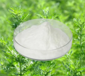 灰树花提取物的核心功效与作用！