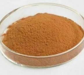 沙棘果粉的使用方法！