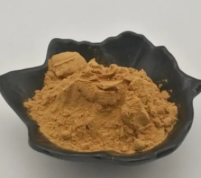黄芩提取物的生产工艺与流程！