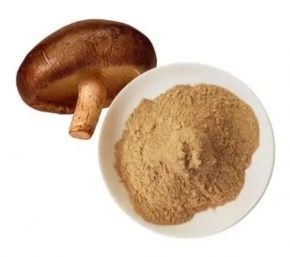 猴头菇提取物原料的制作方法详解！