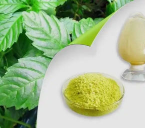 植物提取物标准干燥流程！
