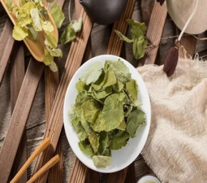 淫羊藿提取物——淫羊藿的作用！