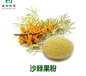 沙棘果粉
